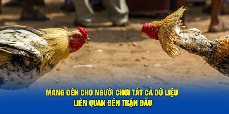 Mang đến cho người chơi tất cả dữ liệu liên quan đến trận đấu