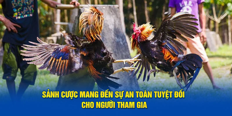 Sảnh cược mang đến sự an toàn tuyệt đối cho người tham gia